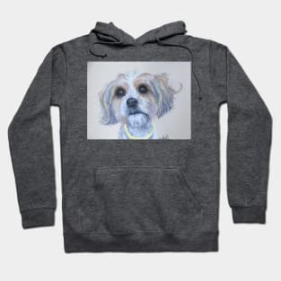 Biewer Terrier Hoodie